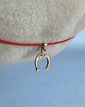 Load image into Gallery viewer, Horseshoe