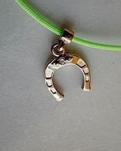 Load image into Gallery viewer, Horseshoe