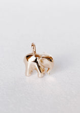 Load image into Gallery viewer, Dije Elefantito